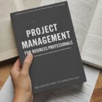 STunited transition from MBA to project management U