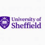 The University of Sheffield