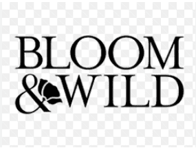 Propel Your Career: Junior Analytics Engineer Job Role in the UK! - Bloom & Wild - stunited.org - UK