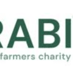 Rabi