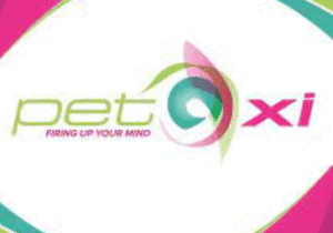 IT Consultant Job Opportunity in the United Kingdom  - Pet Xi Training - stunited.org - UK